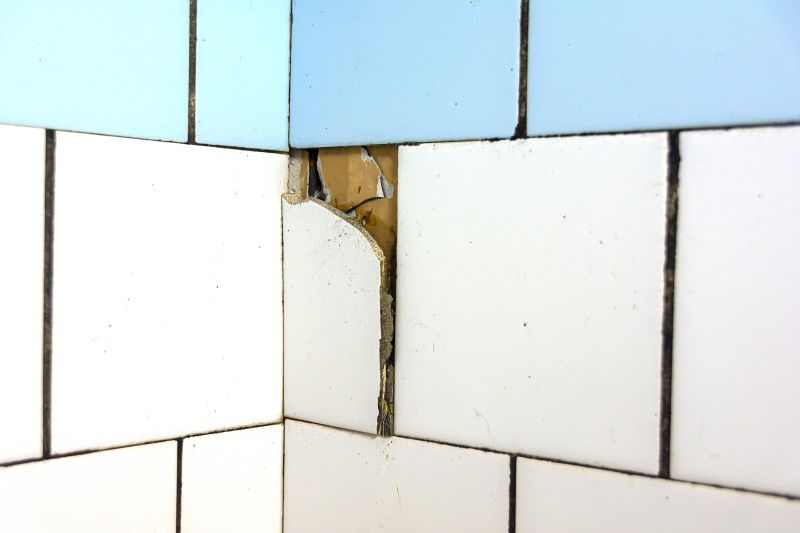 Broken Tile Replacement detail